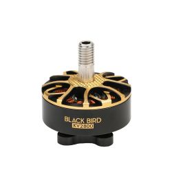 Бесколлекторный мотор T-motor BLACK BIRD V2.0 KV2800 для FPV дронов-гонок, Out-runner, Racing RC